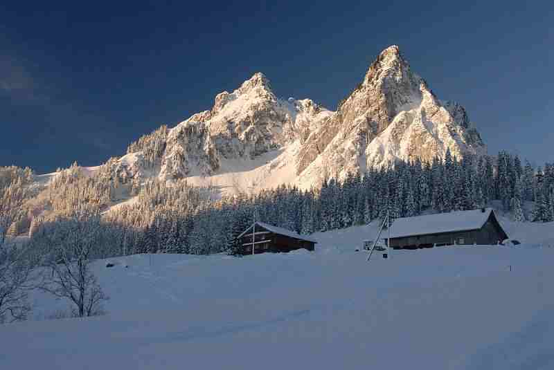 Bild1