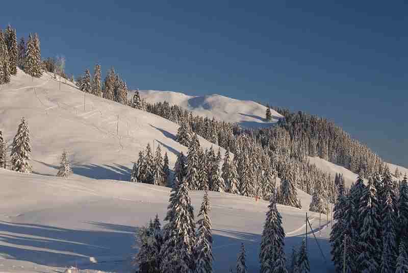 Bild1