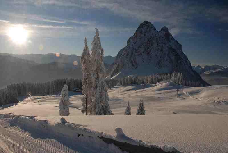 Bild1