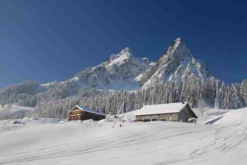 Bild2