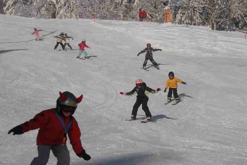 Bild1