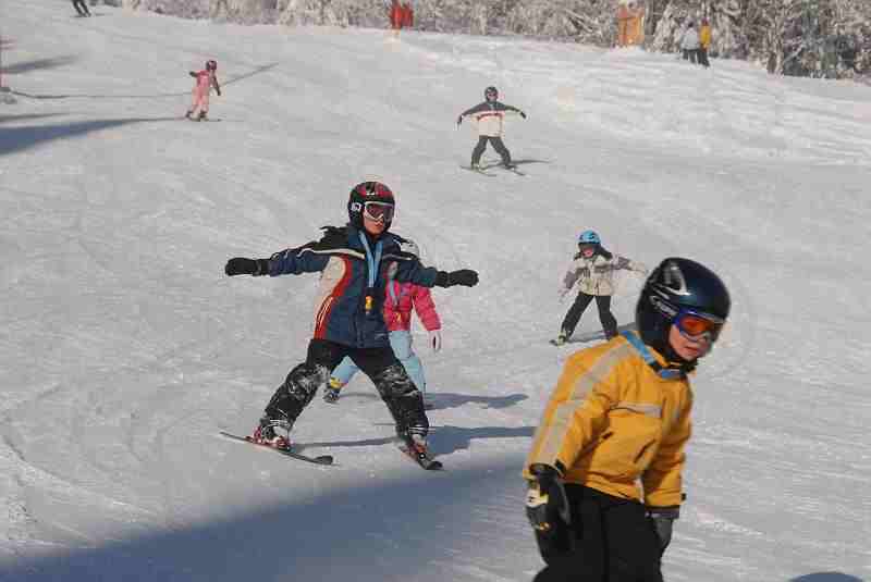 Bild1