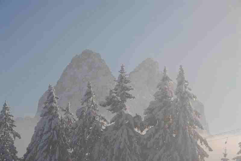 Bild1