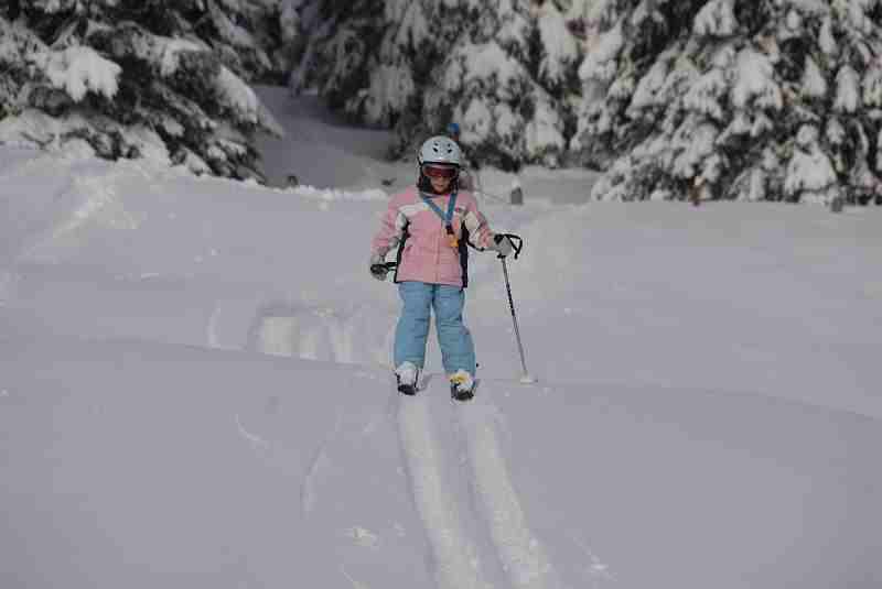 Bild2